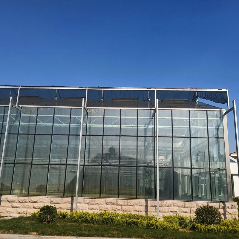 galvanized venlo greenhouse insulated tempered glass greenhouse