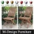 Import Garden furniture outdoor wooden lion garden patio bench from China
