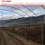Import gi steel pipe build agricultural greenhouse from China
