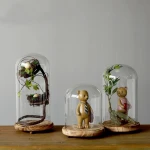 Glass Dome with Dark Walnut Wooden Base Home Decor