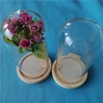 Glass dome with wood base for small crafts decoration