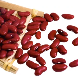 Good Kidney bean high quality speckled light, red, black &amp; white kidney.