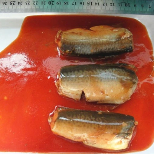 Good quality factory price canned mackerel fish in tomato sauce