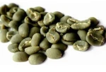 Grade 1 Common Cultivation Arabica Coffee Bean from Mandailing, Indonesia