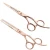 Import hair scissors 440c japanese steel from Pakistan