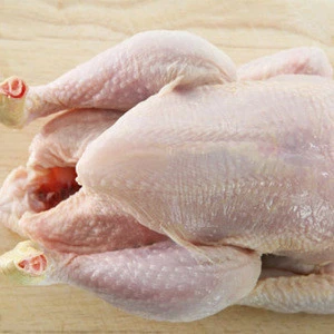 Halal Frozen Whole Chicken, Frozen Chicken Paws Frozen Processed Chicken Feet