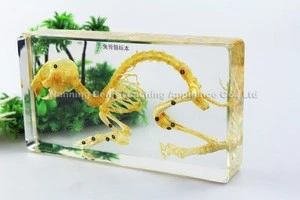 Halloween Gift Party Display Decoration Real Rabbit skeleton Resin Model Teaching Resources