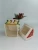 Import hand painted  handmade ceramic heavy dolomite pottery xmas christmas biscuit cookie jar from China