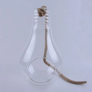 hanging glass light bulb vase with rope