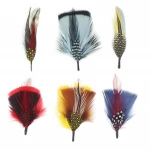 Hat Feather Packs - Assorted  Feathers Packs colorful feather for womem's and men's hat