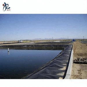 HDPE Geomembrane for Pond and Tunnel Liner with factory price