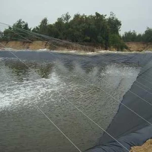 HDPE Geomembrane Waterproofing Pond Lining Dam Liner