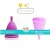 Import Heavy Flow Menstruation Cups 100% Food Grade Menstrual Period Cups from China