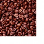 High Grade Sun Dried Cocoa Beans For Sale Now