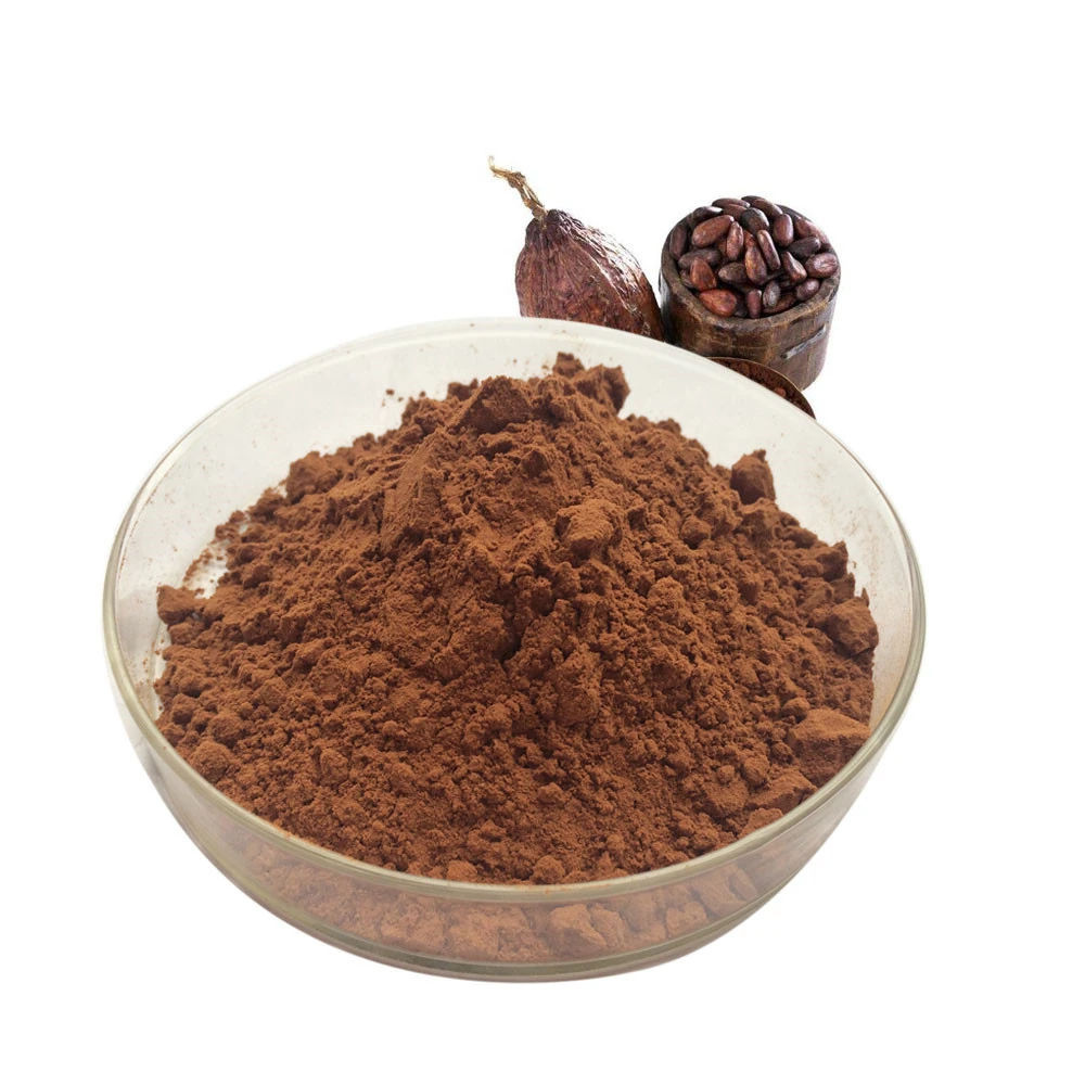 High Quality Extract Powder Cocoa Seed Extract Cocoa Bean Powder