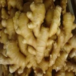 HIGH QUALITY FRESH GINGER