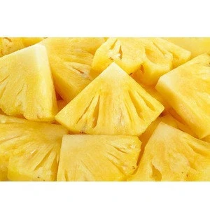 High Quality Natural Fresh Fruit Canned Pine apple /anned Jack Fruit for sale