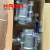 Import High Quality Stainless Steel 304/ 316 Female Thread 3 PC Ball Valve from China