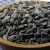 Import High quality sunflower seeds for sowing from Ukraine