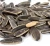 Import High Quality Sunflower Seeds In Shell from China