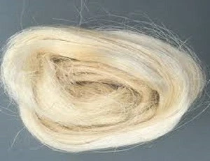 High Quality/Purity 100% Natural raw sisal fiber / sisal fibre BEST PRICES