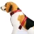 Import high visibility led pet harness nylon dog harness led dog vest from China