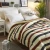 Import Home Hotel Decor Soft Down Alternative Microfiber Quilted Comforter from China