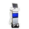 Hot 9 in1 Oxygen Jet Skin Care System/vertical Jet Peel Water Oxygen Therapy Facial Machine Hydra Dermabrasion Machine For Skin