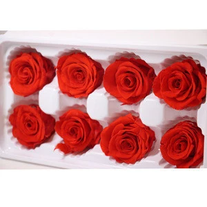 Hot items never to die flowers 4-5cm preserved rose head with high quality