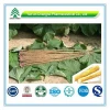 Hot Sale GMP Certificate 100% Pure Natural fresh burdock root extract