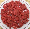 Hot sale Ningxia Dried Goji berry 430 per 50g