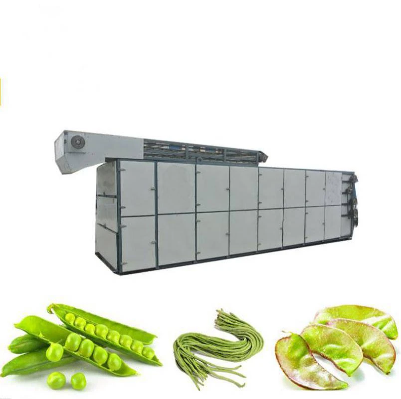 Hot Sales Belt Drying Machine Sea Food Dryer Dried Conch Dryer Machine For Sale