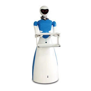 Hot sell battery operated toy artificial intelligent robot humanoid waiter robot