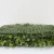 Import Hot Selling New Style Artificial Grass Mat for Wall Decoration High Quality Plastic Grass from China