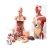 Import Human Anatomy Models Biological teaching equipments from China