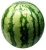 Import Indian Green Water Melon from India