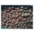 Import IQF frozen berries iqf frozen blackberry fruit in bulk from China