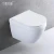 Import Japanese european white ceramic one piece wall hung toilet for hidden tank from China