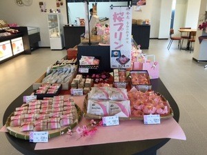 Japanese Traditional Sweet Wholesale Maker Cake Healthy Dessert