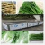 JUYOU Commercial fruit and vegetable bubble washing machine/ brush vegetable washer/ vegetable cleaning machine