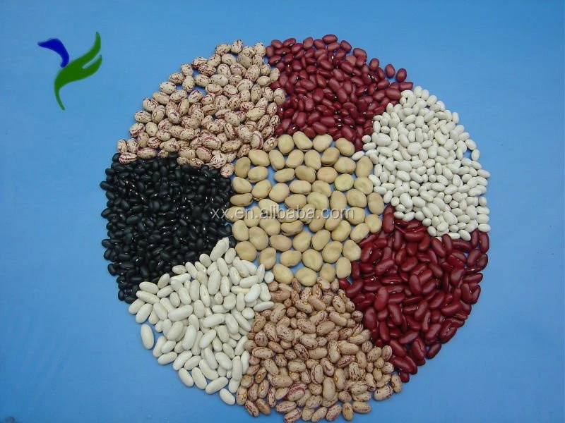 Light speckled kidney beans red kidney beans white kidney beans benefits