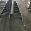 long type SS ladder