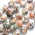 Import LS-A1098 wholesale Natural faceted  Ocean beads Jasper Stone Beads , Loose Gemstone Beads strands For Jewelry Making from China