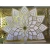 Import Luxury mandap PVC acrylic wedding decoration backdrop for event stage For Wedding Stage Decoration from China