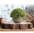 Import Maggiel Artificial Plants for Home Decor Simulated Plants Mini Plants Topiary Shrubs from China