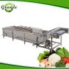 High Performance Cabbage Industrial Bubble Washer Machine
