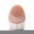Import Manufacturer Direct Sale Portable Facial Cleansing Brush Cleansing Silicone Brush from China
