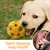 Import Mewajump Dog Toy Thinkerpet Pet Dog Funny TPR Material Molar Teeth Cleaning Squeaky Chewing Toy Ball from China
