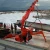 Import mini crawler crane used for agriculture or construction from China