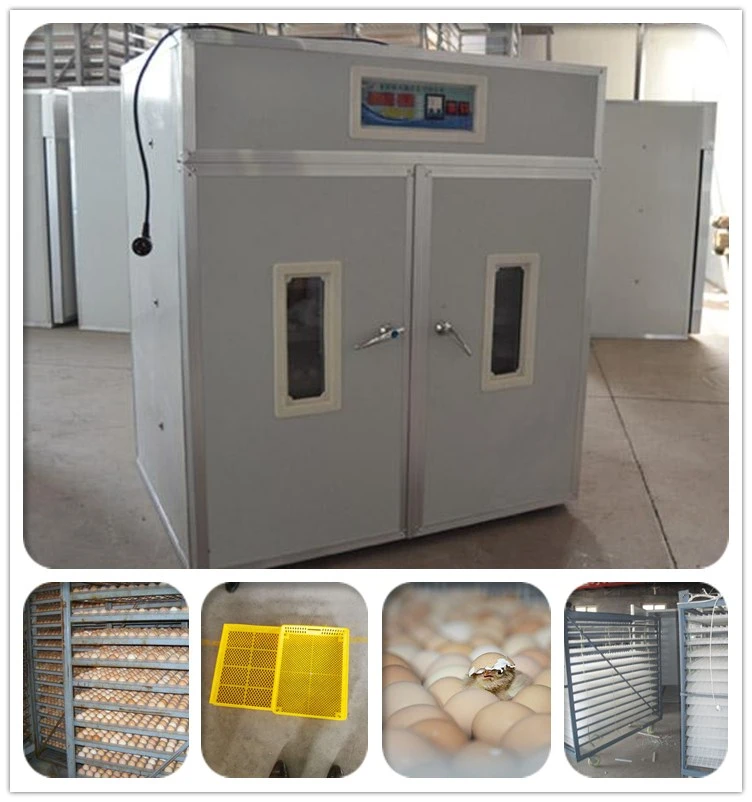 Model MT-3168 Poultry Egg Incubation Machine Poultry incubator egg incubator